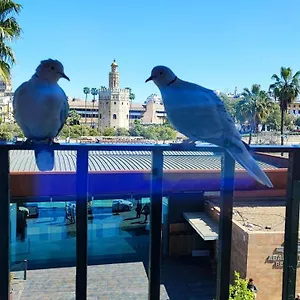 Accommodatie bij particulieren Betis Del Oro, Sevilla
